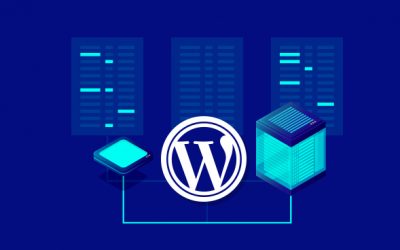 Reliable WordPress Hosting Services Offered By Webline-Services