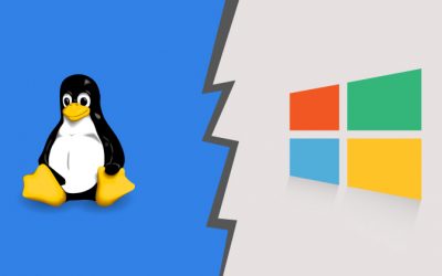 Linux and Windows Shared Hosting