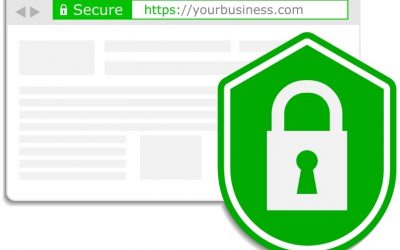 The Importance Of SSL Certificates To Search Engines